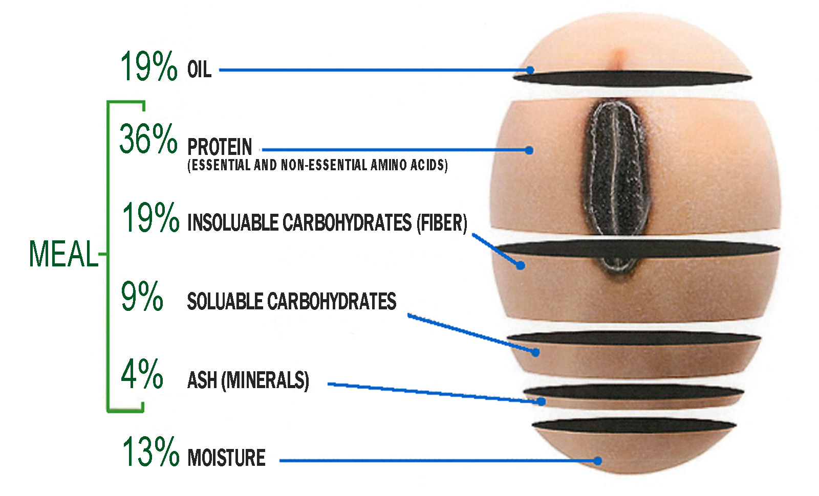 Full Guide