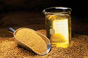 soybean oil