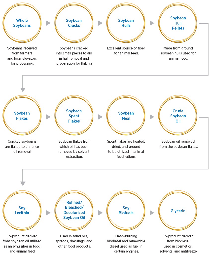 Soybean Processing Basics: Operations flowchart