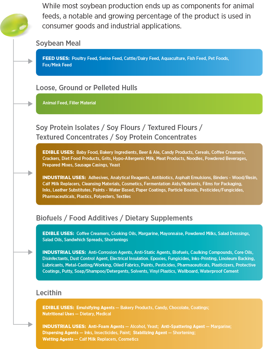 Soybean Processing Basics: Products