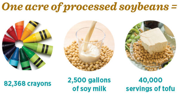 One acre of processed soybeans infographic