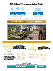 Oilseed Processing Value Chain