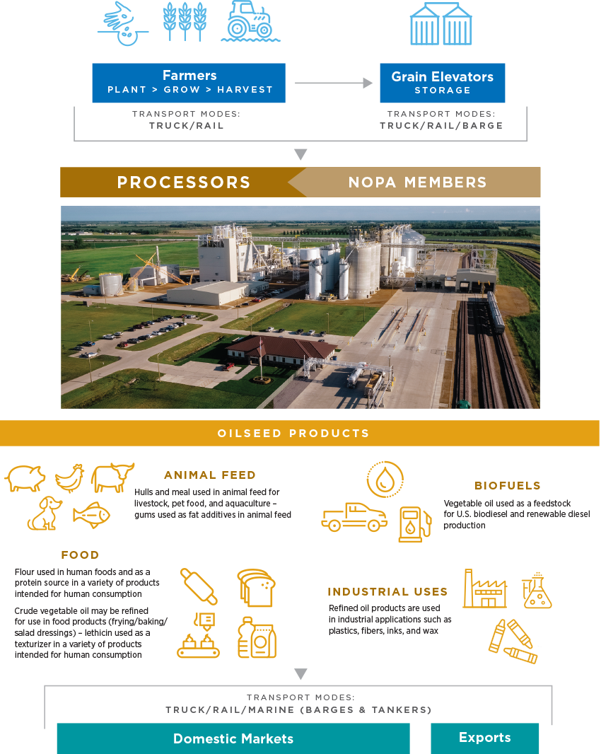 U.S. Oilseed Processing Value Chain flow chart