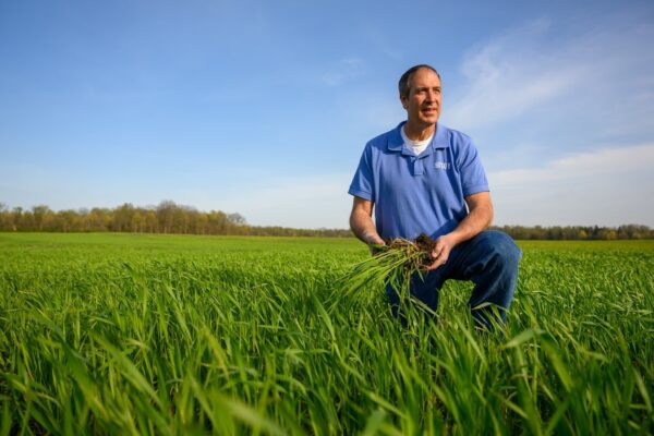 Caption: Steve Reinhard, USB Chair, evaluates his cover crops, a practice that has contributed to a decrease in his carbon footprint
